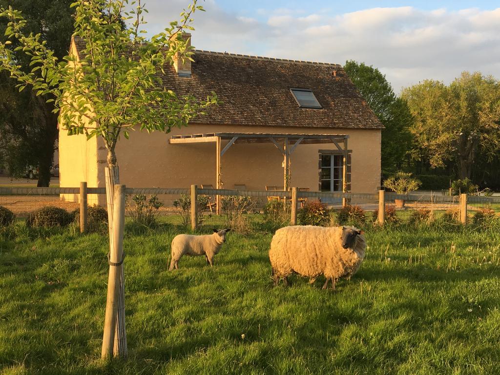 Gîte de La Hertaudière Montbizot Esterno foto